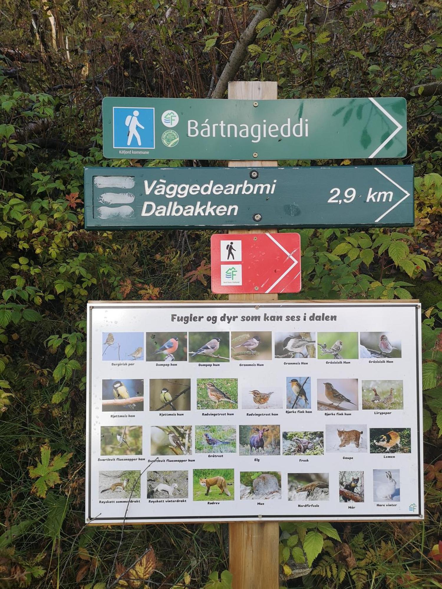 Best No1 Manndalen Eksteriør billede